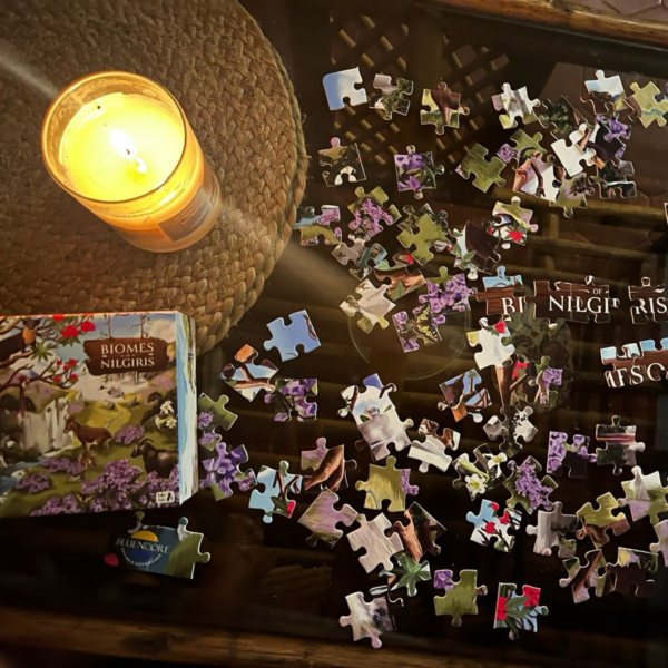 Biomes of Nilgiris – 100 pieces Puzzle| For Teens, Friends and Family| Educational Game