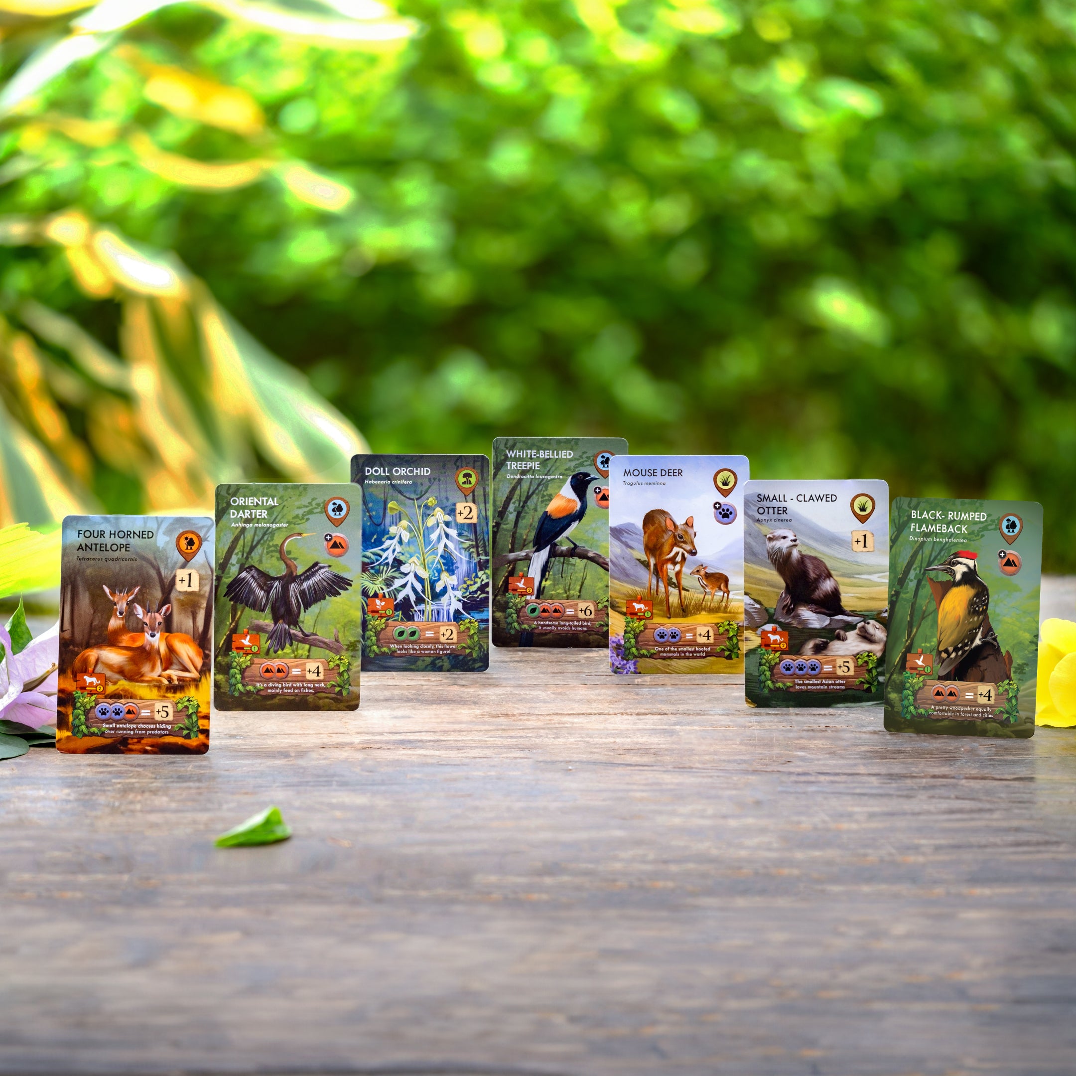 Biomes Of Nilgiris Pre Order Now & Save 25%