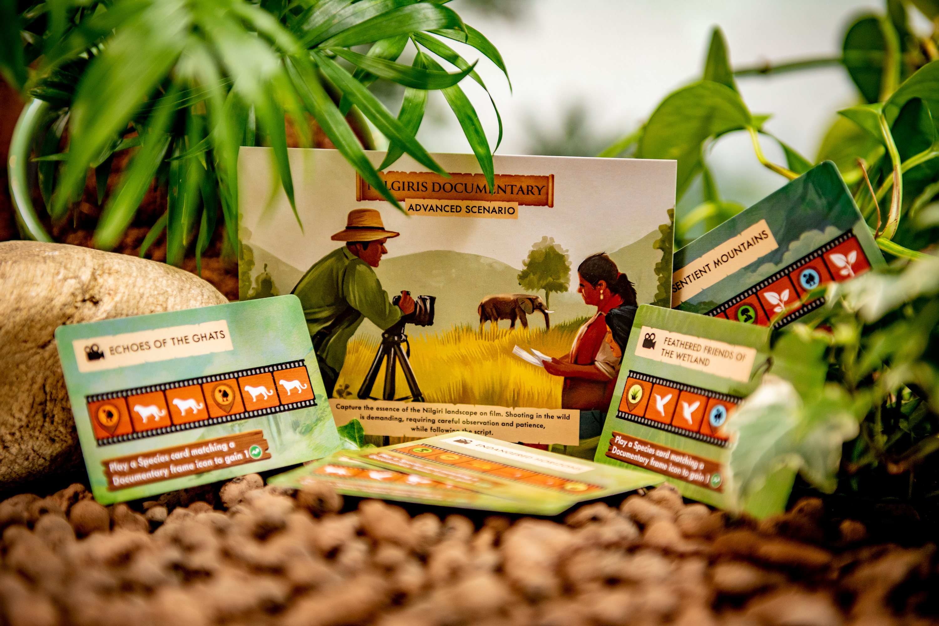 Special Species - Pre Order Now & Save 20%